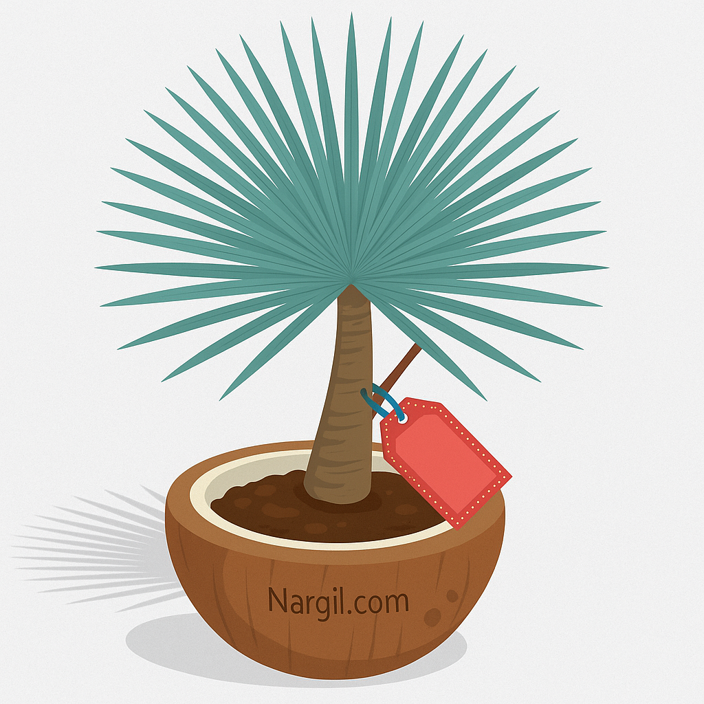  Nargil - Yucca rostrata